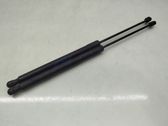 Tailgate/trunk strut/damper