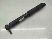 Rear shock absorber/damper