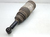 Rear shock absorber/damper