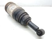 Rear shock absorber/damper