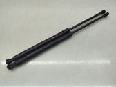 Tailgate/trunk strut/damper