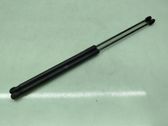 Tailgate/trunk strut/damper