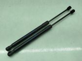 Tailgate/trunk strut/damper