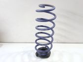 Muelle espiral trasero
