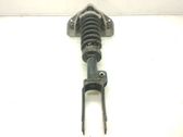 Front shock absorber with coil spring
