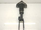 Front shock absorber with coil spring