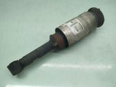 Front shock absorber with coil spring