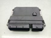 Engine control unit/module ECU