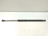 Tailgate/trunk strut/damper