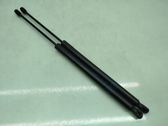 Tailgate/trunk strut/damper