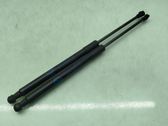 Tailgate/trunk strut/damper