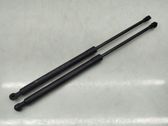 Tailgate/trunk strut/damper