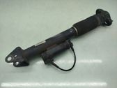 Rear shock absorber/damper
