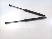 Tailgate/trunk strut/damper