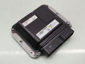 Engine control unit/module ECU