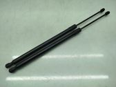 Tailgate/trunk strut/damper