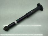 Rear shock absorber/damper