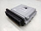 Engine control unit/module ECU