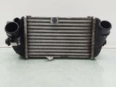 Radiador intercooler