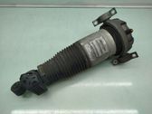 Rear shock absorber/damper