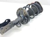 Front shock absorber with coil spring