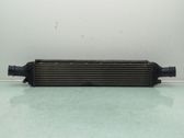 Intercooler radiator