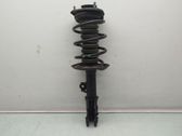 Front shock absorber with coil spring