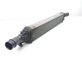 Intercooler radiator