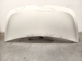Engine bonnet/hood