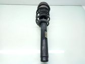 Front shock absorber with coil spring