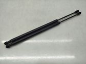 Tailgate/trunk strut/damper