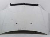 Motorhaube