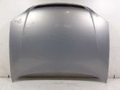 Motorhaube