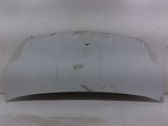 Motorhaube