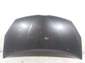 Motorhaube