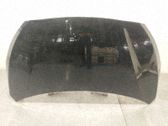 Motorhaube