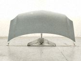 Capó/tapa del motor