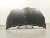 Motorhaube