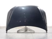 Motorhaube