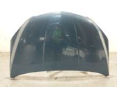 Motorhaube