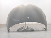 Engine bonnet/hood