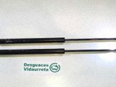 Tailgate/trunk strut/damper