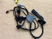Front door wiring loom