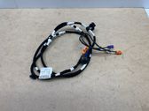 Sound system wiring loom