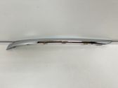 Moldura embellecedora de la barra del amortiguador trasero