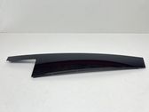 Rear door glass trim molding