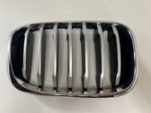 Front bumper upper radiator grill