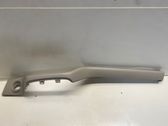 Dashboard trim