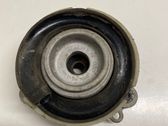 Coil spring mount