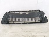 Front grill